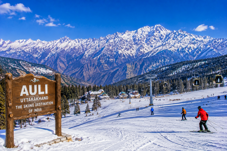 Auli